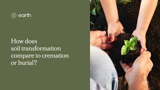 Human Composting vs Cremation vs Burial: Comparing Environmental Impact and Cost