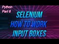 ✔ Python: How To Work With Selenium Input Boxes
