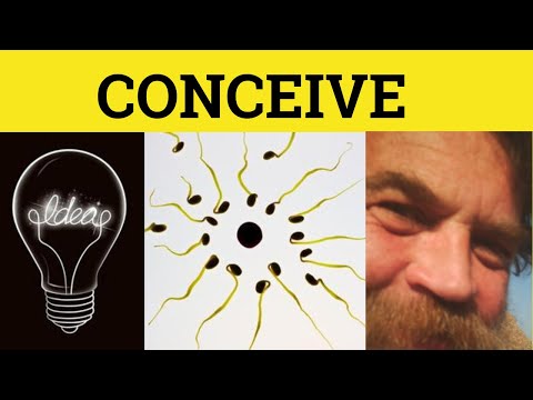 What is the origin of the word conceive?