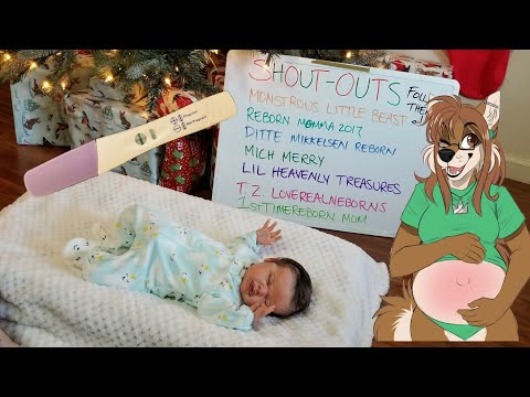 Planned Pregnancy! I Am Expecting! Reborn Pregnant Planned Pregnancy! I Am Expecting! Reborn Pregnant