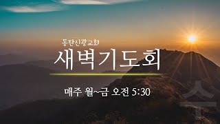 2023.2.22 수 동탄신광교회 새벽기도회