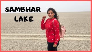 A DAY WITH SAMBHAR HERITAGE RESORT, RAJASTHAN || SAMBHAR LAKE || THE VANITY CULTURE