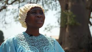 Destination Francophonie |  Le Baobab, l'arbre source de bien-être au Bénin