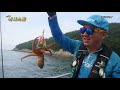 한국낚시방송 fishingtv 좌충우돌낚시소풍 8회 문어 잡으러 낚시소풍~