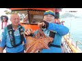 한국낚시방송 fishingtv 좌충우돌낚시소풍 8회 문어 잡으러 낚시소풍~