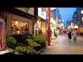 🔴Tokyo Autumn Walk 24/7🐶Akihabara, Hot Shibuya, Hot Shinjuku, etc.💖