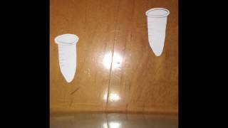 DNA Microarray Part 1