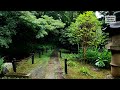 walking through a summer japanese garden colored in deep green the gotoh museum