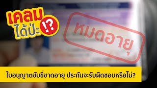 ใบอนุญาตขับขี่ขาดอายุ ประกันจะรับผิดชอบหรือไม่?