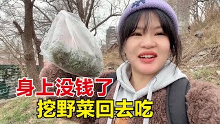 在俄罗斯旅行遭遇困境，没钱吃饭只能挖野菜充饥，妹子也太惨了！【东北小鱼】