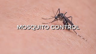 MOSQUITO CONTROL FOR PONDS 101