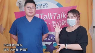 【寵物TALKTALK】第24集：和醫生聊聊吧~蕭博藝獸醫師