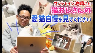 サンシャイン池崎の自慢の愛猫・保護猫ふうらいの可愛い姿を見て欲しい