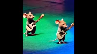 Mice Band, The Documentary