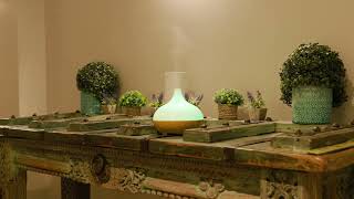 Relax, Recharge & Restore at Spa & Massage UK – Bayswater