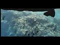 underwater photogrammetry with gopro 7 black