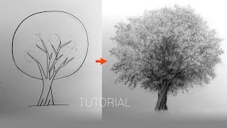 나무 쉽게 그리는 법 / 지우개로 그리기 / 연필 소묘 기초강좌, 초보 그림강좌, 선연습, 연필드로잉, 드로잉제이, Drawing J