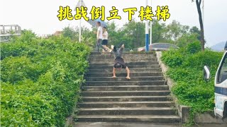 小伙挑战倒立下楼梯，没想到后面的动作更精彩，真的太厉害了~自学力量健身训练【街健高平】