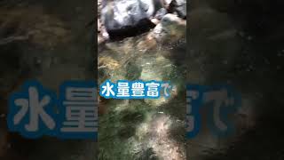 涼しくなる動画【奥多摩倉沢谷本谷】