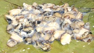 VERY AGGRESSIVE SNAILS CURRY (NETHALLU CURRY)- MY GRANDMA'S VILLAGE STYLE SNAILS