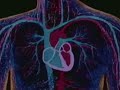 MUAD - Heartbeat - vocals only (slowed and reverb)