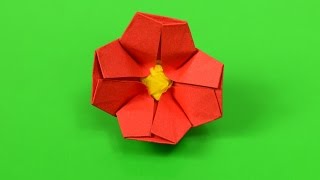 Cherry Blossom Origami