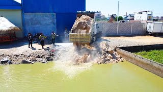 Komatsu Bulldozer D20P and Many Trucks !! Pushing Soil into flooded area!!