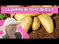 Tout savoir sur la culture de la pomme de terre A-Z débuter au jardin