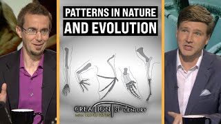 Do Patterns in Nature point to Evolution? | CREATION with David Rives