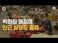 원본영상 문닫는 지방 백화점 지방소멸 신호탄인가 ft. 박예린 기자