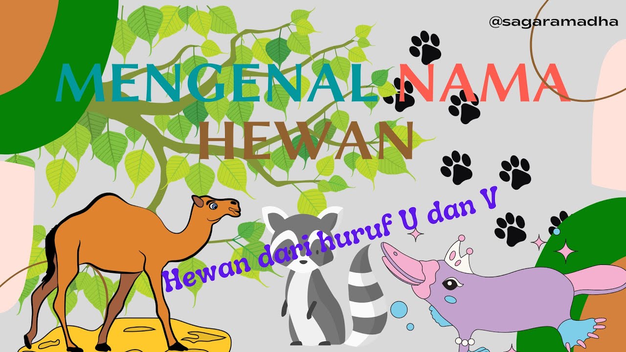 MENCARI NAMA HEWAN DARI HURUF U DAN V | MENGENAL NAMA HEWAN BERDASARKAN ...