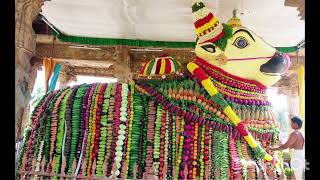 Nandi Gayatri Mantram/நந்தி காயத்ரி மந்திரம்.| Powerful Mantra for Divine Happiness and Prosperity.