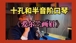 【口琴】十孔和半音阶吹《爱尔兰画眉》