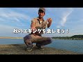 【エギング】秋イカ求めてどこ行こう！ 鹿児島 イカ釣り