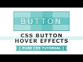 Css Button Hover Effects - Css Hover Effects - Tutorial