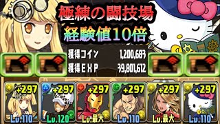 【パズドラ】極練の闘技場！経験値１０倍！サレーネ×大魔女キティで経験値３９００万！