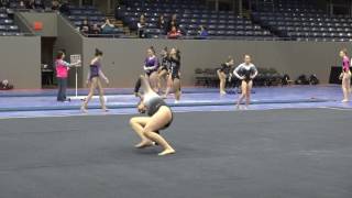 Sheridan Spencer, Heartland | L9 Floor 2017 Michigan State Meet