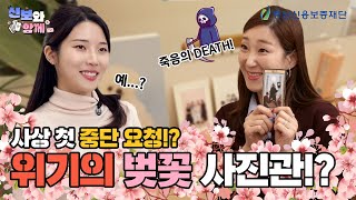 신보와 함께 | 벚꽃 사진관🌸 2호점 오픈?! 성공 vs 실패😱🔮