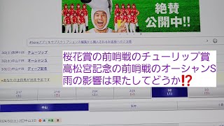 予想屋松ちゃんの【G2】チューリップ賞と【G3】オーシャンSの予想とその買い目を発表します⁉️｢競馬予想｣#96