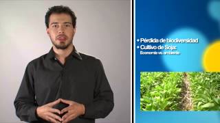 059 - Transgénicos protagonistas de la agricultura moderna - Argentina Investiga