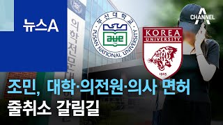 조국 딸 조민, 대학·의전원·의사 면허 줄취소 갈림길 | 뉴스A