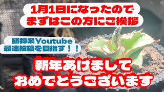 #27【アガベ】植物系YouTube最速投稿！新年の挨拶はまずはここでしょ！