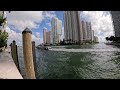 miami walking tour from bayfront park to brickell with manatee sighting included