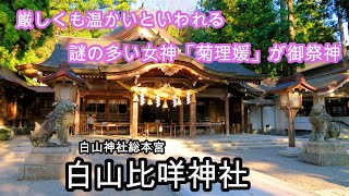 【白山比咩神社】良縁を結び悪縁を断ち切る縁結びにご利益のある神社