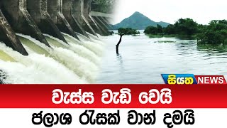 වැස්ස වැඩි වෙයි. ජලාශ රැසක් වාන් දමයි | Siyatha News