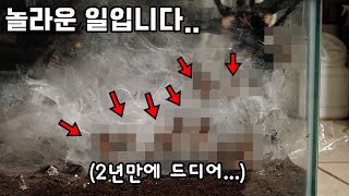 2년만에 번식 성공한 사육통을 싹 털어서 한통에 넣었더니...??