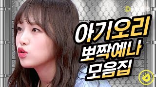 [#호구들의감빵생활] 세상 사람들! 우리 귀여운 오리 좀 보세요!! 아이즈원 예나(IZ*ONE Choi Yena) 뽀짝 모먼트 모음집│#디글