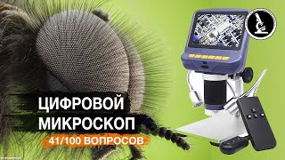 ДЛЯ ЧЕГО НУЖЕН ЦИФРОВОЙ МИКРОСКОП?