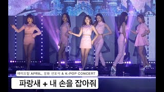 에이프릴 APRIL[4K 직캠]파랑새 + 손을 잡아줘, 풀캠@180331 락뮤직