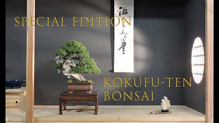 Kokufu-ten bonsai